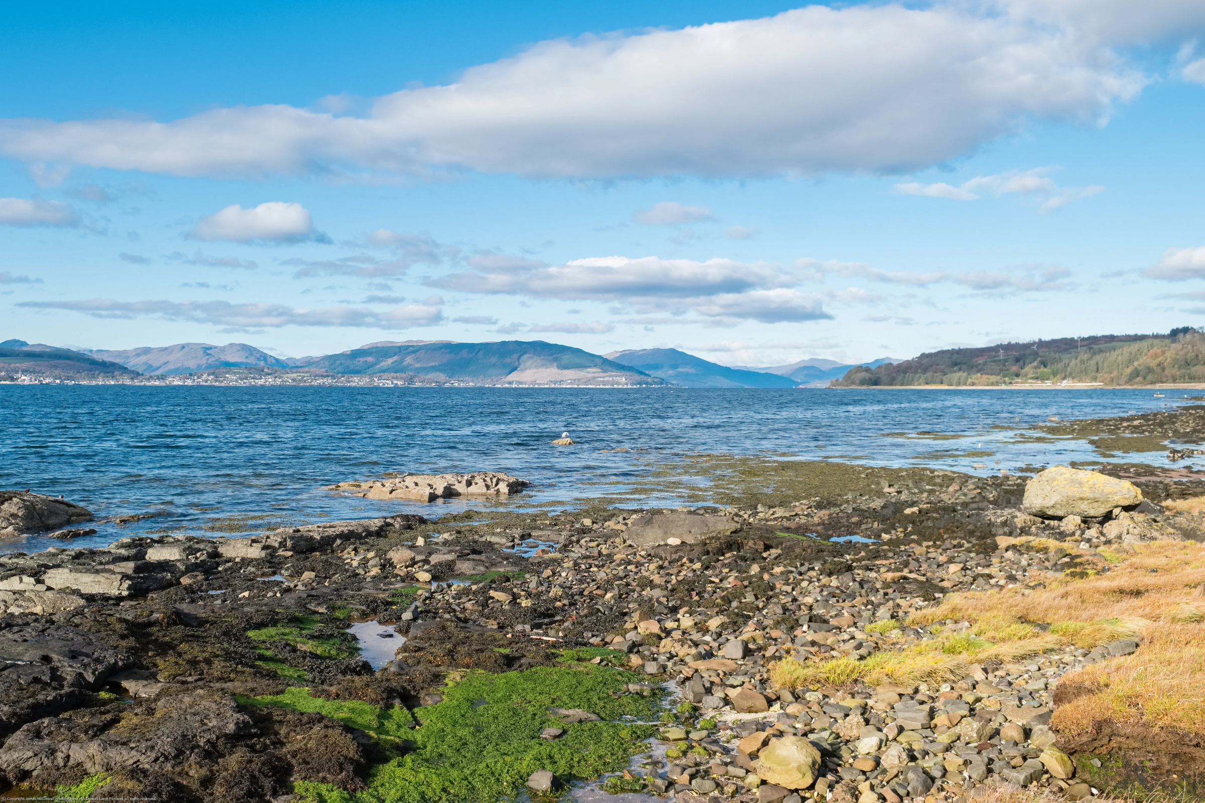 Ardgowan[1].webp